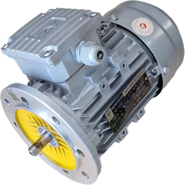 Moteur électrique triphasé