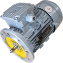 Moteur électrique triphasé